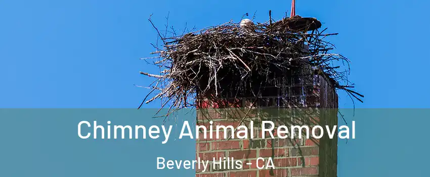  Chimney Animal Removal Beverly Hills - CA