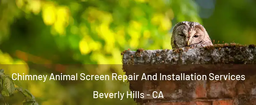  Chimney Animal Screen Repair And Installation Services Beverly Hills - CA