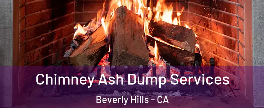  Chimney Ash Dump Services Beverly Hills - CA