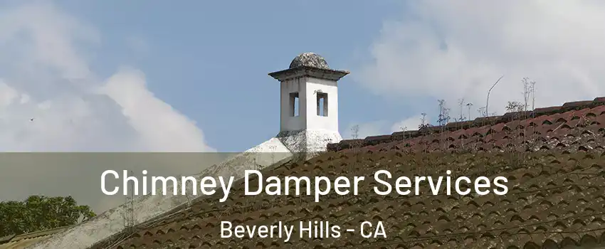  Chimney Damper Services Beverly Hills - CA