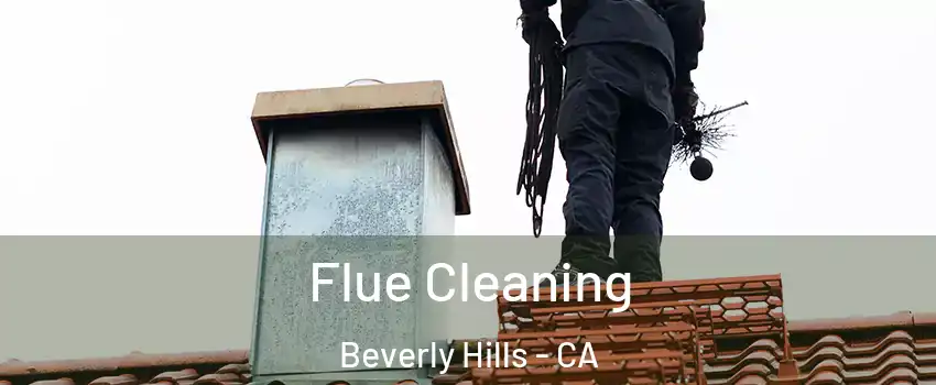  Flue Cleaning Beverly Hills - CA