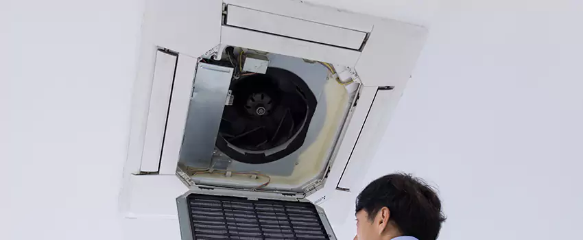Benefits of Professional Air Duct Cleaning in Beverly Hills, California